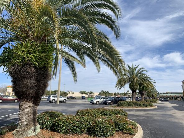 201 Crockett Blvd, Merritt Island, FL 32953